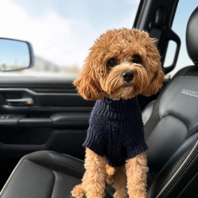 Charlie, Jamail Hardwoods showroom mascot